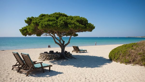 Top destinations pour des vacances côtières sur l'île de ré